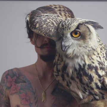 Justin Hawkins Rides Again