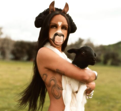 horsegiirL