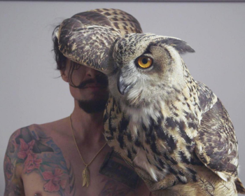 Justin Hawkins Rides Again